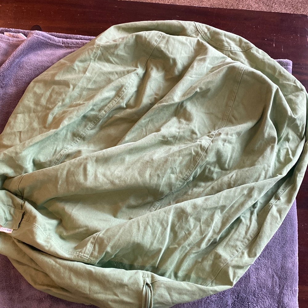 Pottery Barn Kids Bean Bag insert